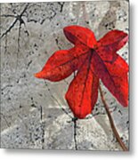 A Perfect Fall Red Metal Print