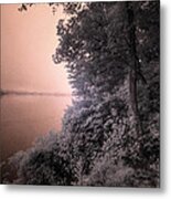 A Point In The Stream Metal Print