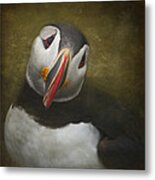 A Portrait Of The Clown Of The Sea Metal Print