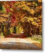 A Quiet Back Road Stroll Metal Print