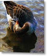 A Real Head Turner Metal Print