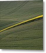 A Ribbon Of Canola Metal Print