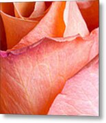 A Rose By Any Other Name Metal Print