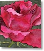 A Rose Is A Rose Metal Print