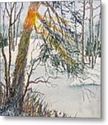 A Slice Of Winter Sunshine Metal Print