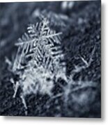 A Snowflake Falls...such A Delicate Metal Print