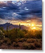 A Sonoran Desert Sunrise Metal Print