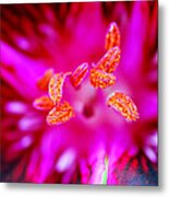 A Splash Of Colour Metal Print