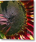 A Sunflower For The Birds Metal Print