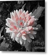 A Touch Of Color Metal Print