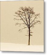 A Tree On A Hill In A Snow Storm Metal Print