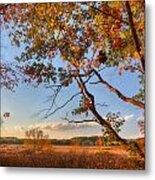 A Trees View Of Autumn On The Marsh Metal Print