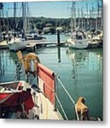 A View Across The Harbour Metal Print