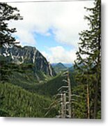 A Vista - Mt. Rainier National Park Metal Print