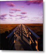 A Walk Through The Marsh Metal Print