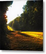 A Warm Michigan Sunrise Metal Print