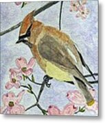 A Waxwing In The Dogwood Metal Print