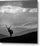 Above The Glens Metal Print