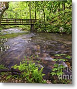 Abrams Creek Metal Print