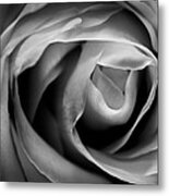 Absence Of Color Metal Print