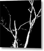 Abstract Branches Metal Print