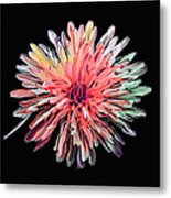 Abstract Chrysanthemum Metal Print