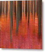 Abstract Forest 2 Metal Print