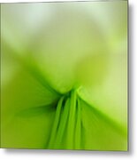 Abstract Forms In Nature Metal Print