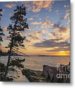 Acadia Coast At Sunrise Metal Print