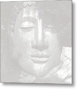 Access To Insight Metal Print