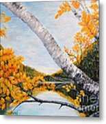 Adirondacks New York Metal Print