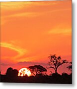 African Sunset In The Okavango Delta Metal Print