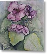 African Violets Metal Print