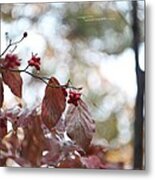 After Rain 2 Metal Print