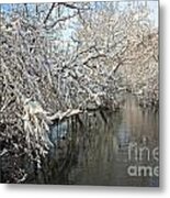 After The Blizzard Metal Print