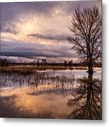 After The Rain Metal Print