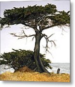 Against The Sea Metal Print