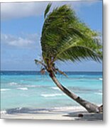 Against The Winds Metal Print