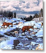 Against The Winter Chill Metal Print