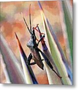 Agave Bug Metal Print