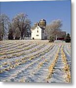 Agriculture - Field Of Corn Stubble Metal Print