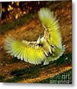 Airborne Landing Metal Print