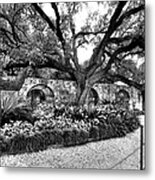 Alamo Grounds Metal Print