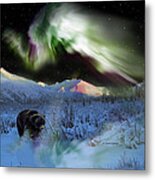 Alaska Aurora Knik River Road Bear   # Da 182 Metal Print