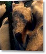 Alf Metal Print