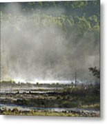 Algonquin Early Morning Metal Print