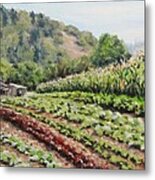 All In A Row Metal Print