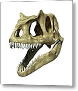 Allosaurus Dinosaur Skull, Artwork Metal Print