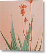 Aloe Family Metal Print