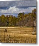 Alone Metal Print